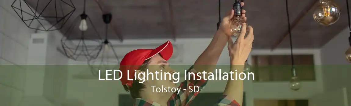 LED Lighting Installation Tolstoy - SD