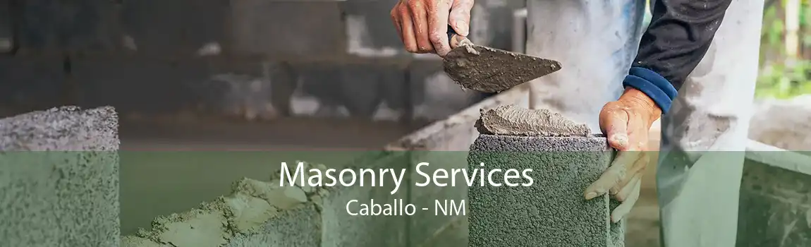 Masonry Services Caballo - NM