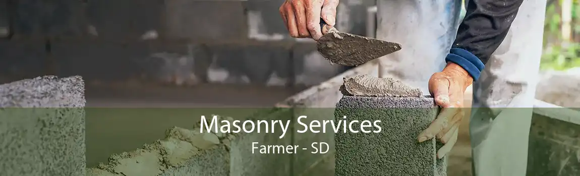 Masonry Services Farmer - SD