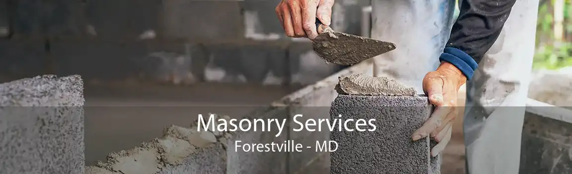 Masonry Services Forestville - MD