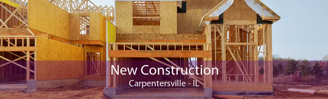 New Construction Carpentersville - IL