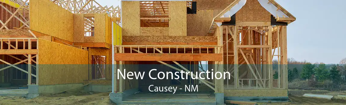 New Construction Causey - NM