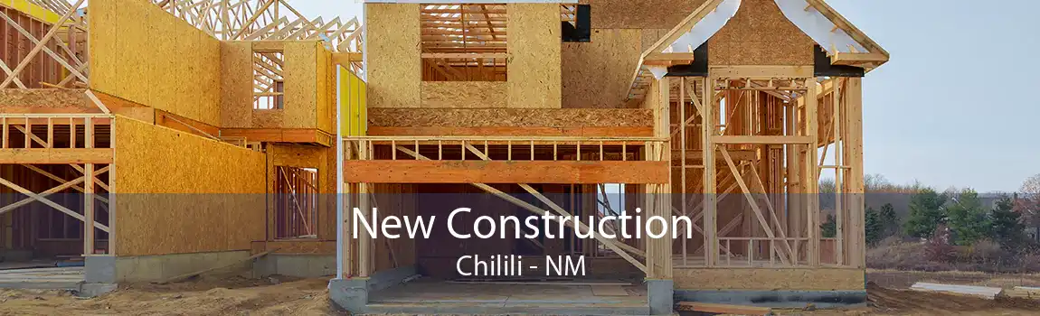 New Construction Chilili - NM