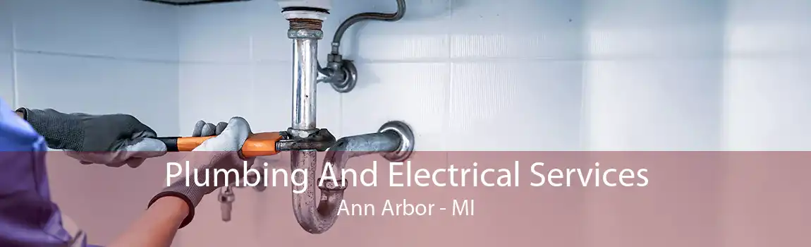 Plumbing And Electrical Services Ann Arbor - MI