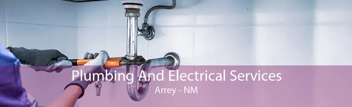 Plumbing And Electrical Services Arrey - NM