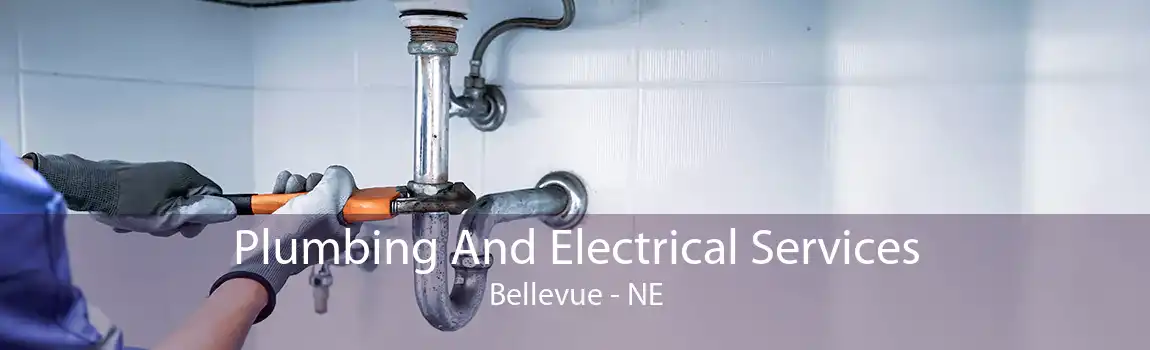 Plumbing And Electrical Services Bellevue - NE