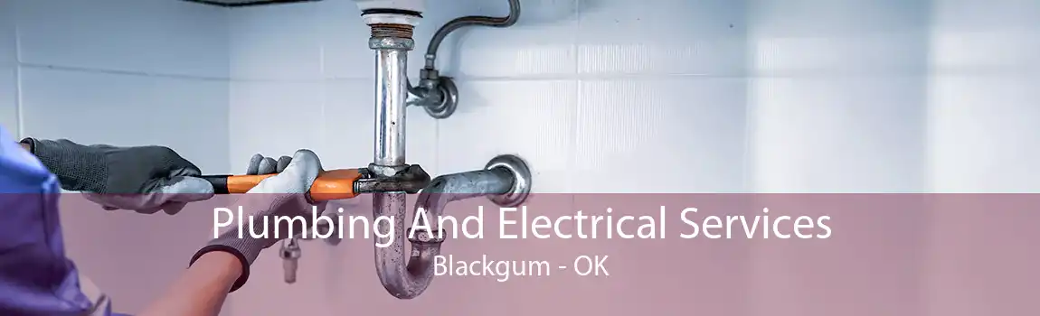 Plumbing And Electrical Services Blackgum - OK