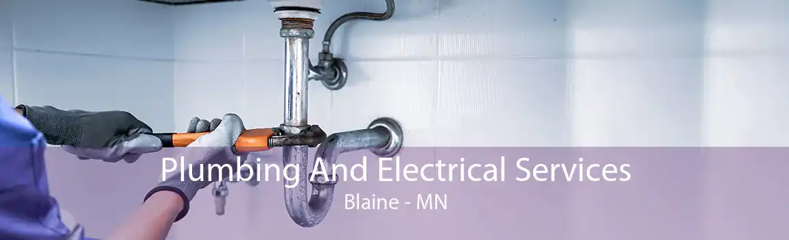 Plumbing And Electrical Services Blaine - MN