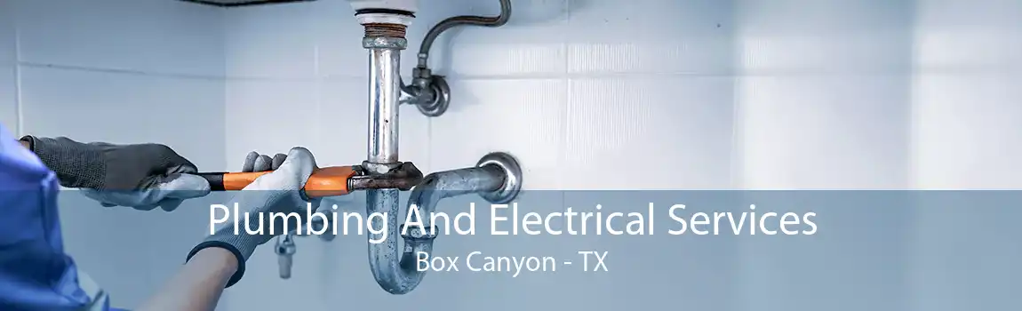  Plumbing And Electrical Services Box Canyon - TX