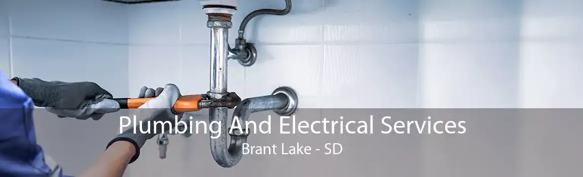 Plumbing And Electrical Services Brant Lake - SD