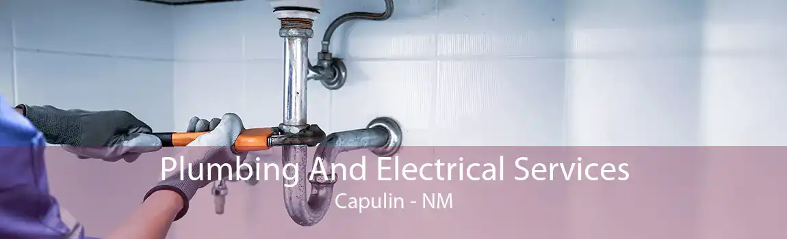 Plumbing And Electrical Services Capulin - NM