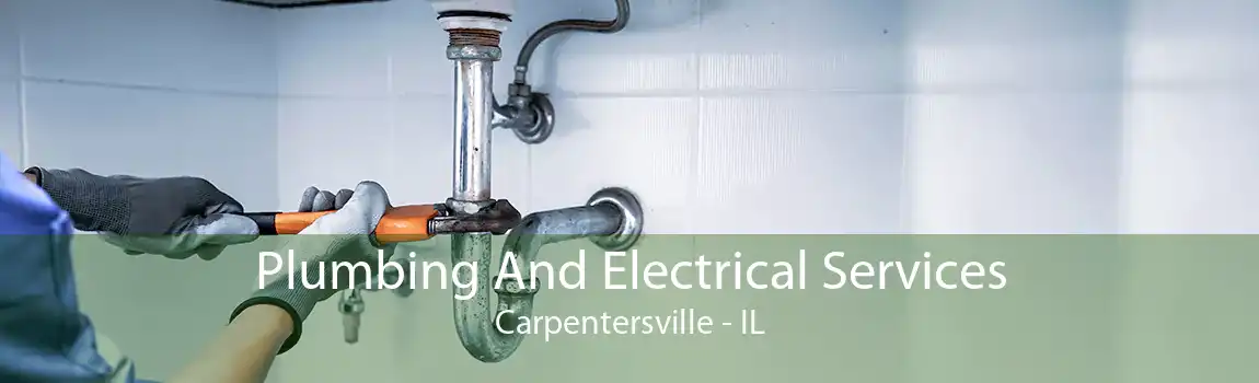 Plumbing And Electrical Services Carpentersville - IL