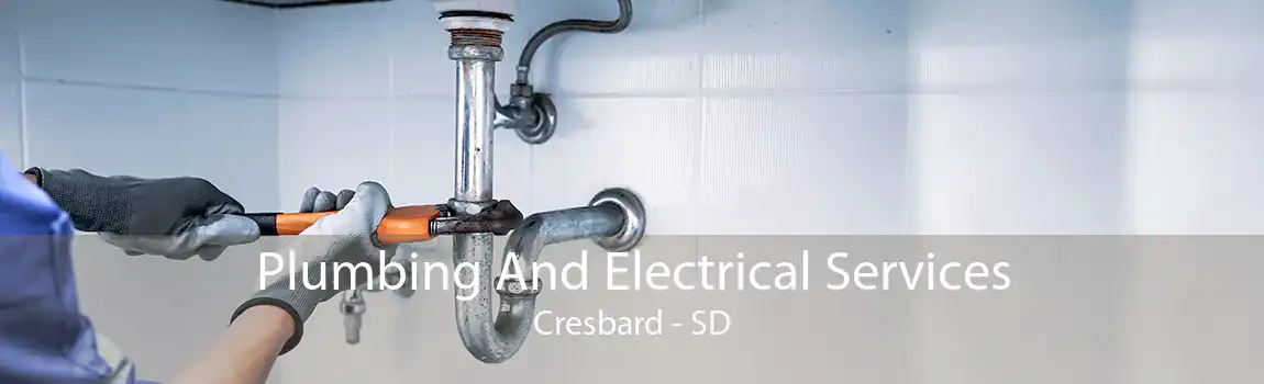 Plumbing And Electrical Services Cresbard - SD