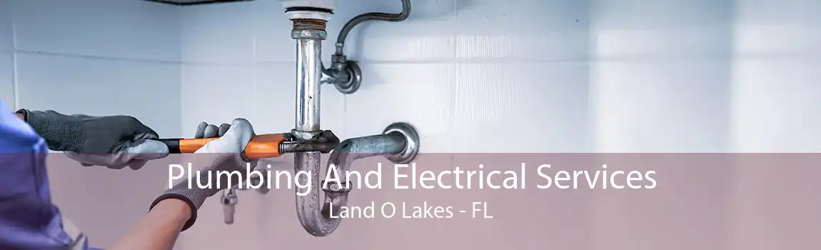 Plumbing And Electrical Services Land O Lakes - FL
