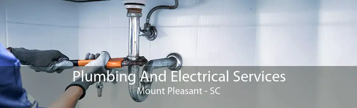 Plumbing And Electrical Services Mount Pleasant - SC