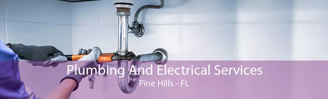 Plumbing And Electrical Services Pine Hills - FL