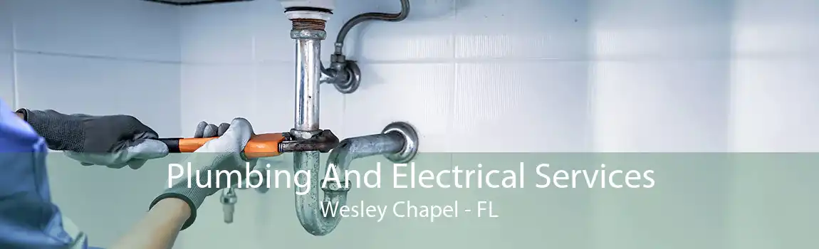 Plumbing And Electrical Services Wesley Chapel - FL