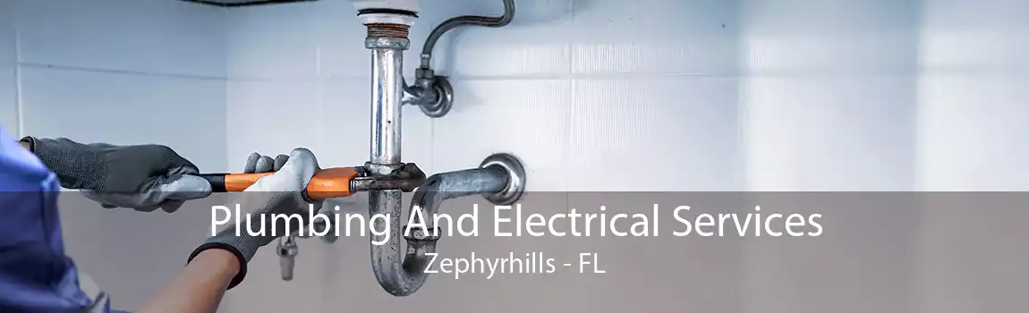 Plumbing And Electrical Services Zephyrhills - FL