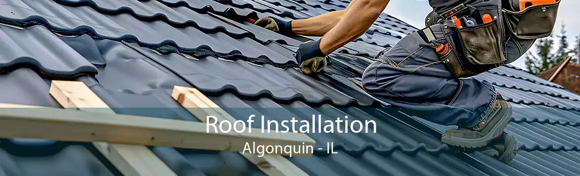 Roof Installation Algonquin - IL