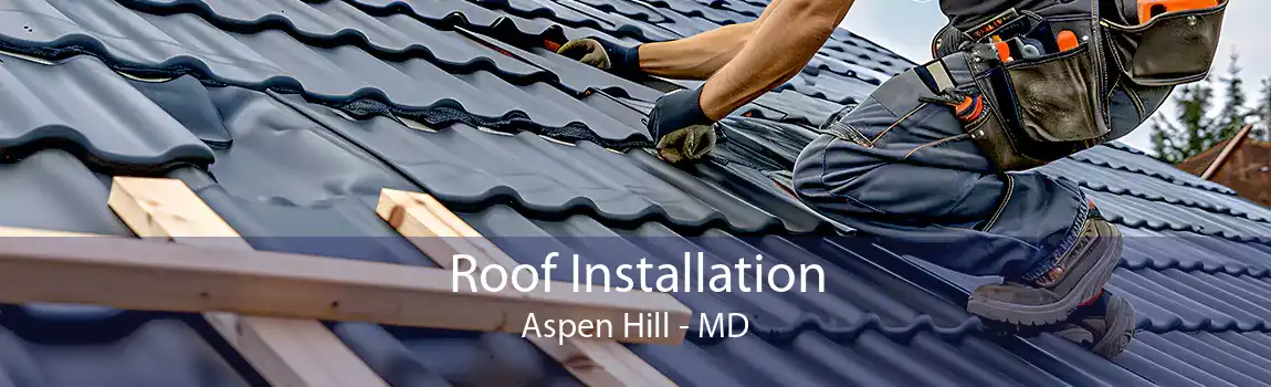 Roof Installation Aspen Hill - MD