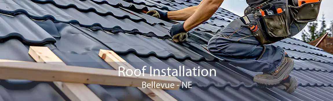 Roof Installation Bellevue - NE