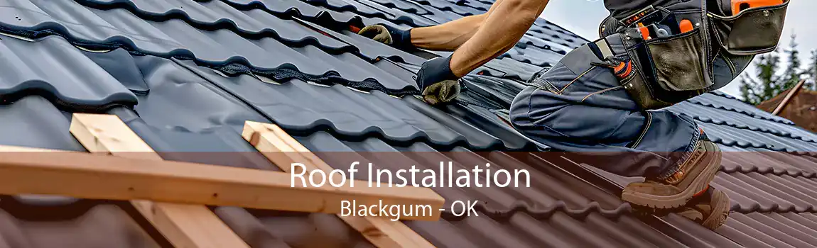 Roof Installation Blackgum - OK