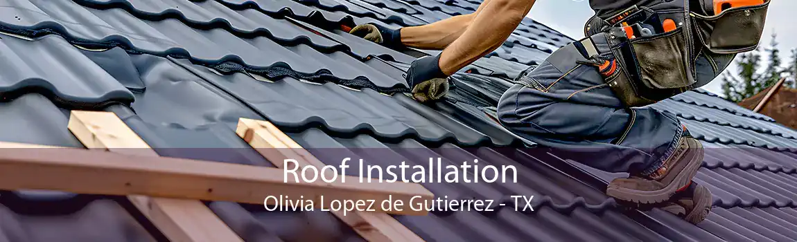 Roof Installation Olivia Lopez de Gutierrez - TX