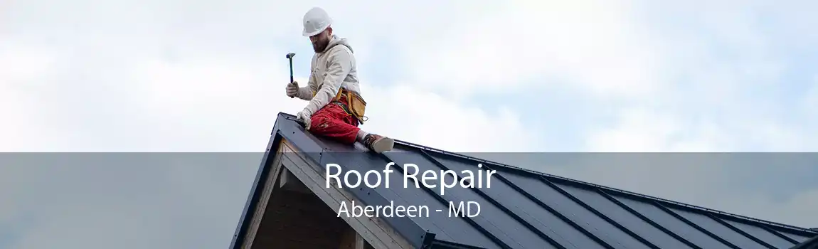  Roof Repair Aberdeen - MD