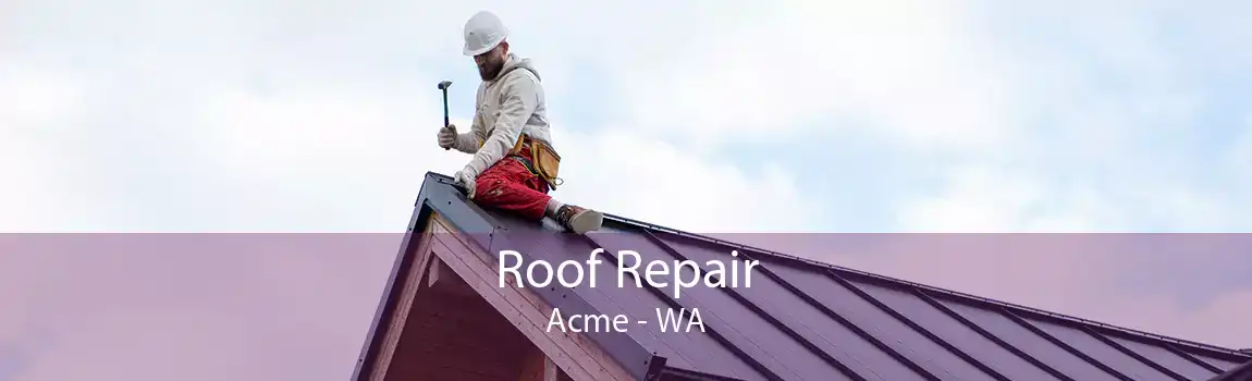 Roof Repair Acme - WA