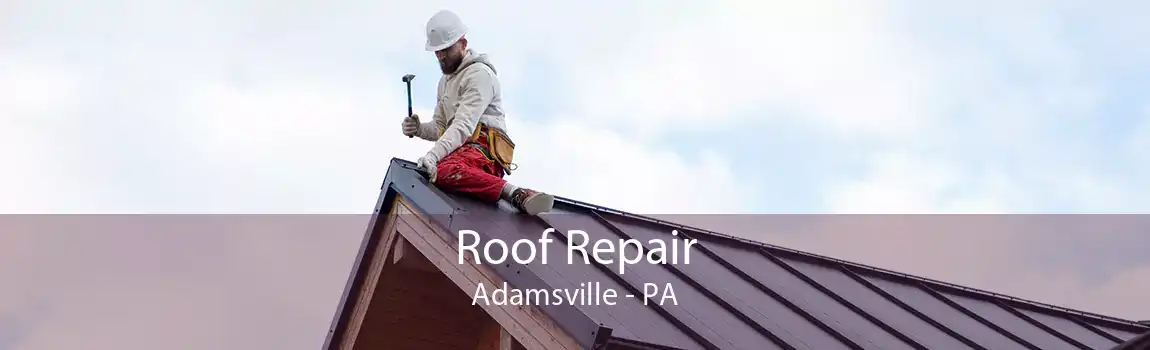 Roof Repair Adamsville - PA