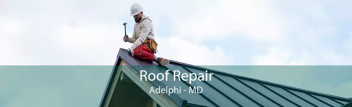 Roof Repair Adelphi - MD