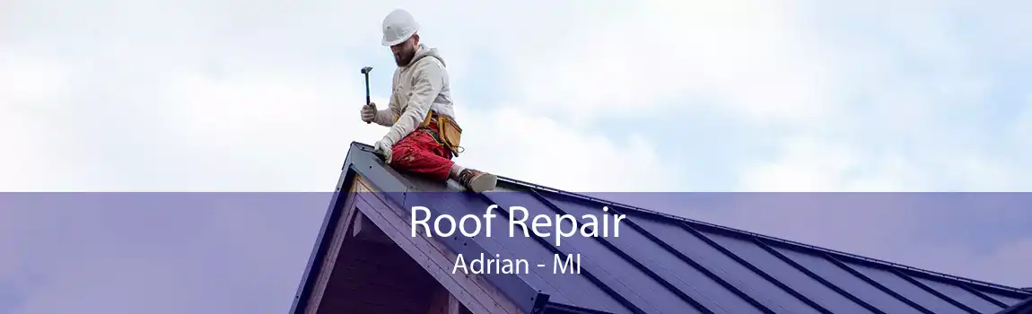  Roof Repair Adrian - MI