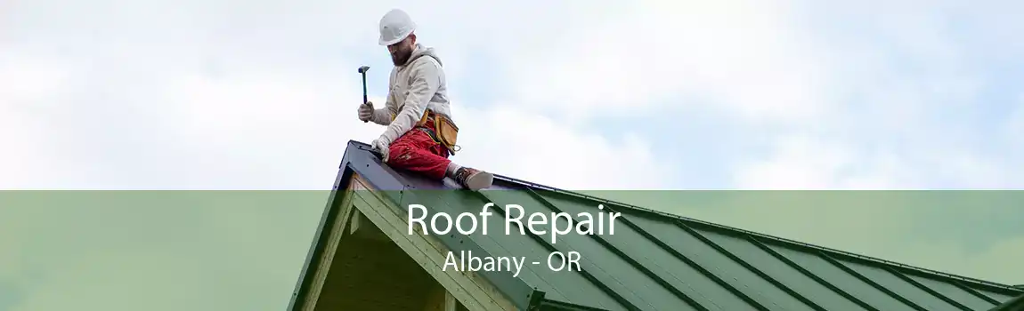 Roof Repair Albany - OR