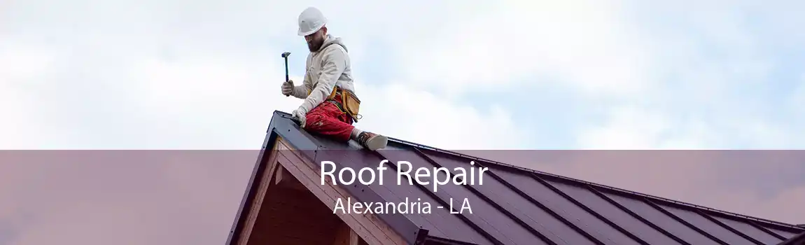 Roof Repair Alexandria - LA