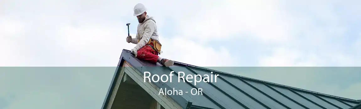 Roof Repair Aloha - OR