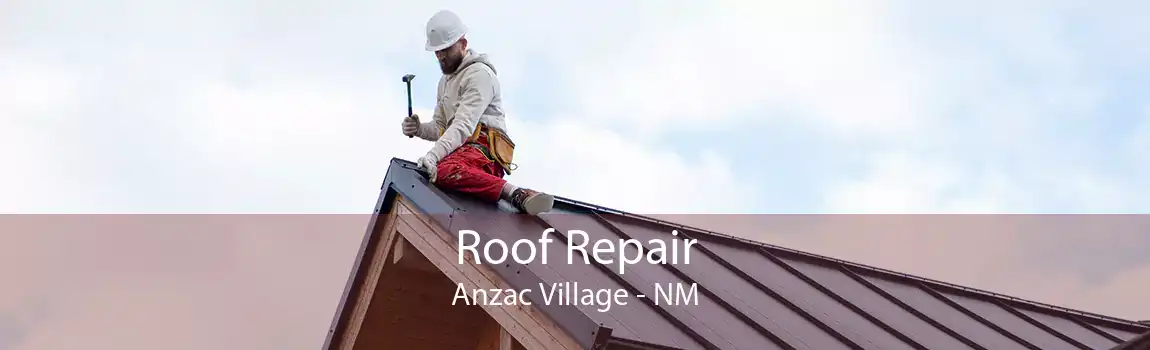 Roof Repair Anzac Village - NM