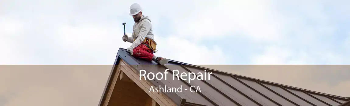 Roof Repair Ashland - CA