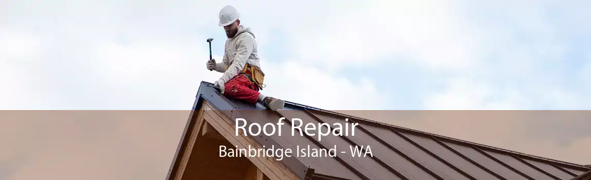 Roof Repair Bainbridge Island - WA