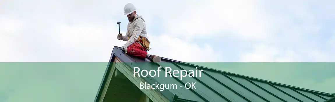 Roof Repair Blackgum - OK