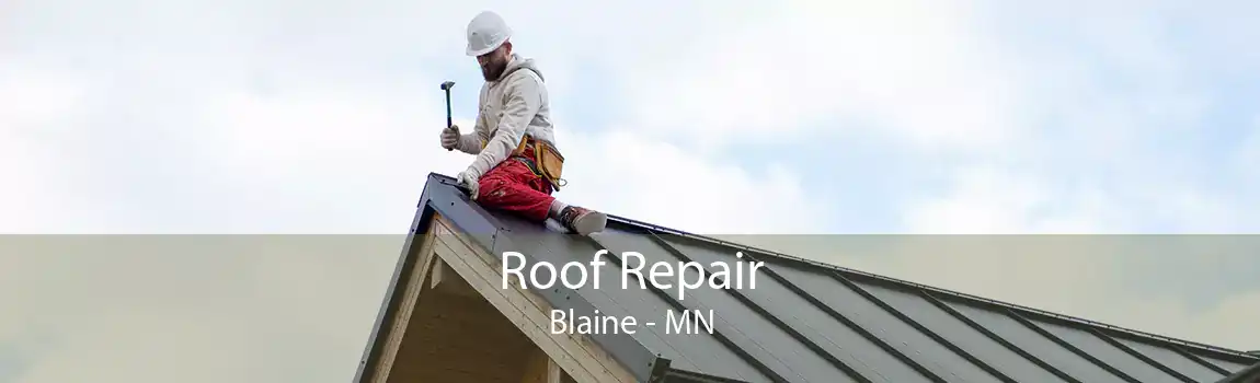 Roof Repair Blaine - MN