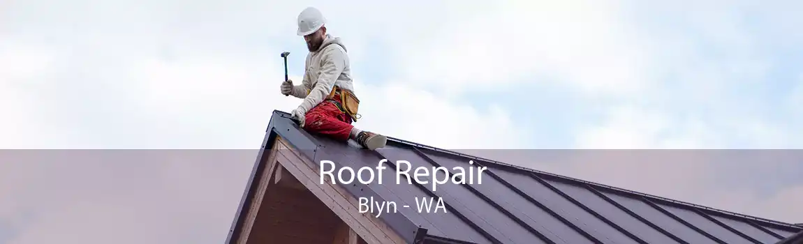 Roof Repair Blyn - WA