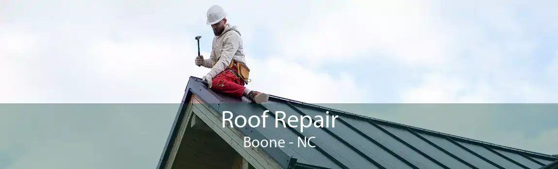 Roof Repair Boone - NC