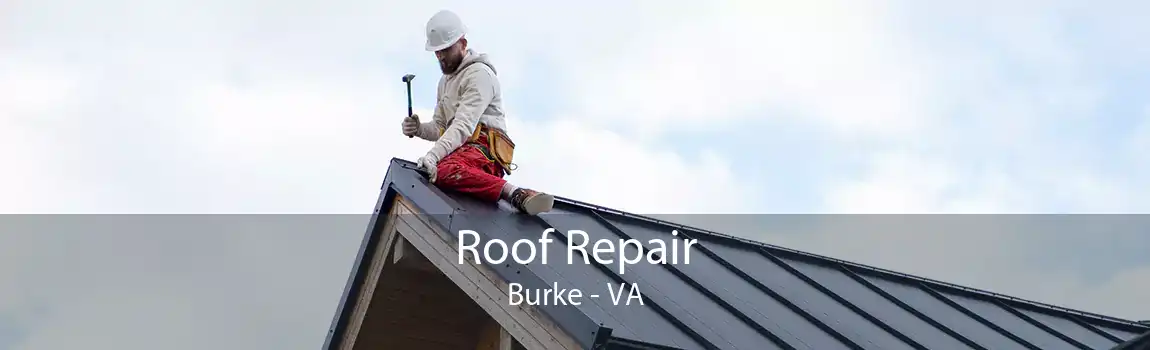 Roof Repair Burke - VA