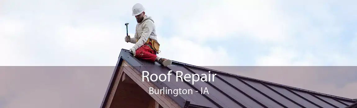 Roof Repair Burlington - IA