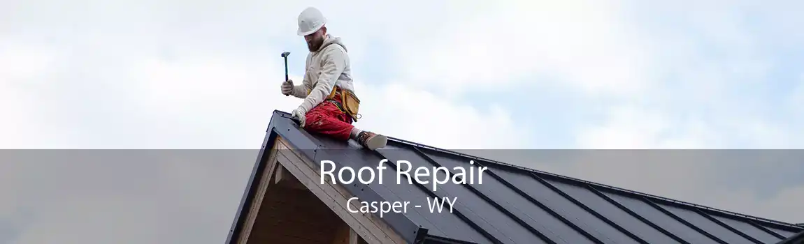 Roof Repair Casper - WY