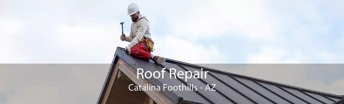 Roof Repair Catalina Foothills - AZ