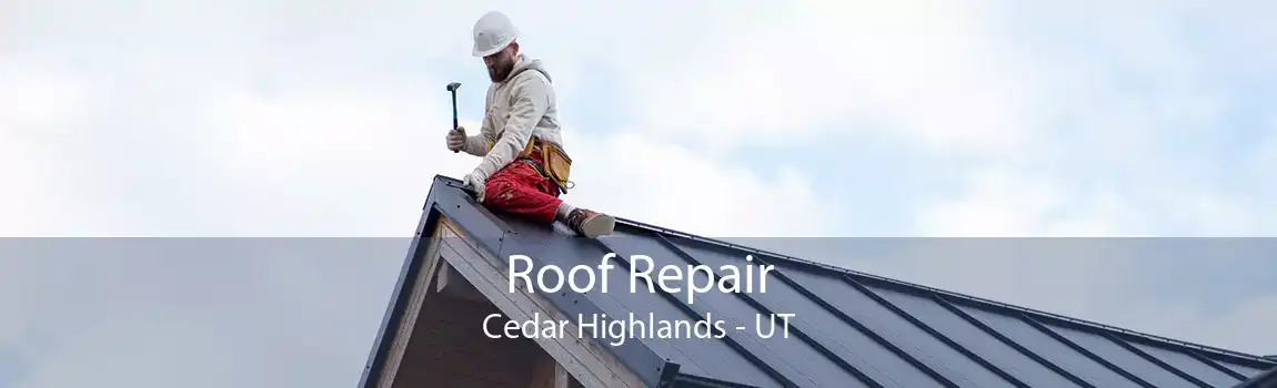 Roof Repair Cedar Highlands - UT