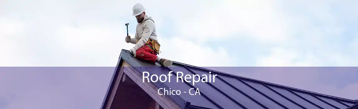 Roof Repair Chico - CA