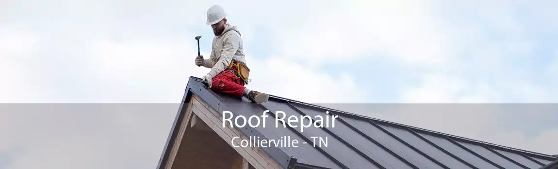 Roof Repair Collierville - TN