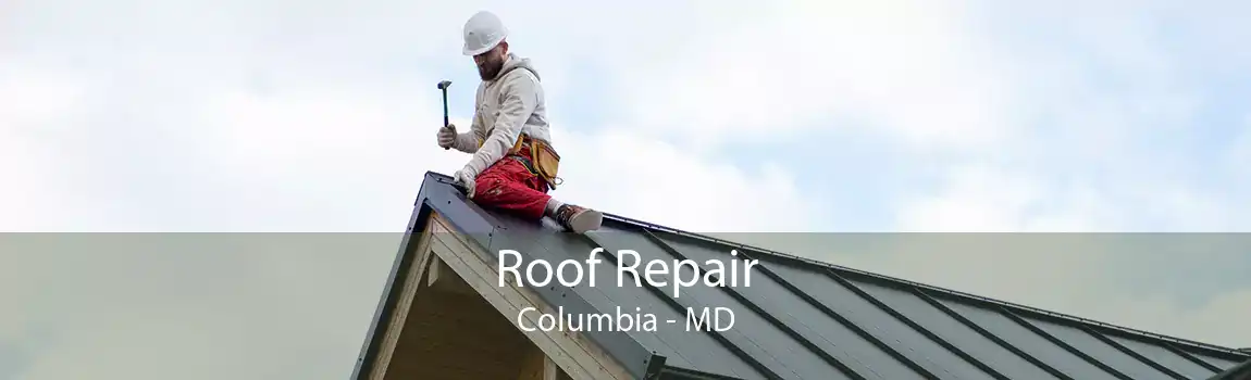 Roof Repair Columbia - MD